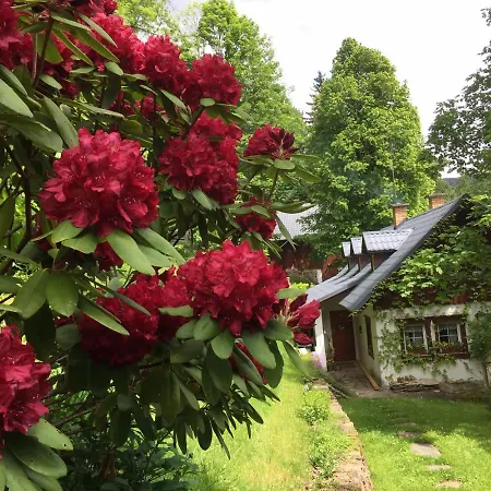 Pod Skalou I. * Paseky nad Jizerou