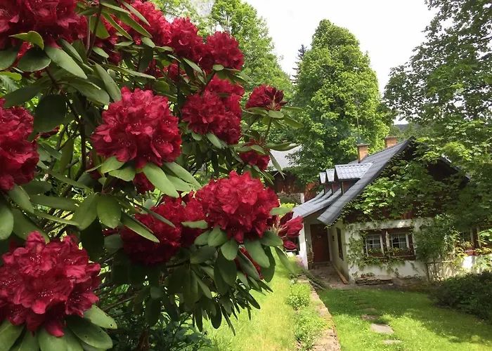 Pod Skalou Romance * Paseky nad Jizerou